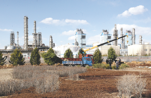 大魔术师推币机app界面